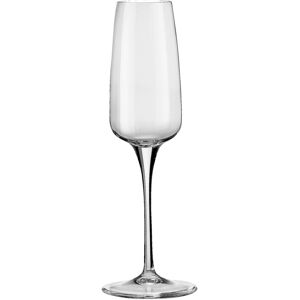 Bormioli Rocco Sektglas Aurum; 230 ml, 5.9x23.5 cm (ØxH); transparent; 6 Stück / Pack Bormioli Rocco Sektglas Aurum; 230 ml, 5.9x23.5 cm (ØxH); transparent; 6 Stück / Pack