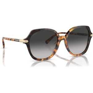 Sonnenbrillen Coach 0HC8377U Honey Tortoise Black Gradient 577613 55 female