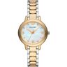 Uhr Emporio Armani AR11513 Gold 00 female