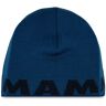 Mütze Mammut Mammut Logo Beanie 1191-04891-50554-1 Deep Ice-Marine 00 male