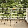 vidaXL Barhocker 2 Stk. Schwarz 45x56x103,5 cm PE-Rattan und Stahl - Schwarz