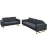 vidaXL 2-Sitzer und 3-Sitzer Sofa Set Dunkelgrau - Grau