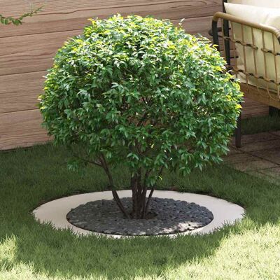 vidaXL geeignet für flachen Baumring Weiß Ø60 / 90 cm Stahl - Weiß vidaXL geeignet für flachen Baumring Weiß Ø60 / 90 cm Stahl - Weiß