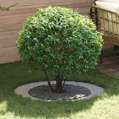 vidaXL geeignet für flachen Baumring Silber Ø60 / 90 cm Verzinkter Stahl - Silber vidaXL geeignet für flachen Baumring Silber Ø60 / 90 cm Verzinkter Stahl - Silber