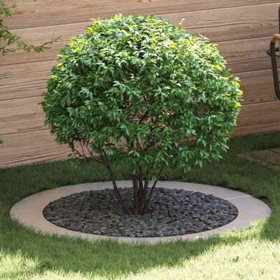 vidaXL geeignet für flache Baumringe 5 pcs Silber Ø90 / 120 cm Edelstahl - Silber vidaXL geeignet für flache Baumringe 5 pcs Silber Ø90 / 120 cm Edelstahl - Silber
