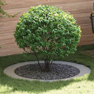 vidaXL geeignet für flache Baumringe 5 pcs Silber Ø90 / 120 cm - Silber vidaXL geeignet für flache Baumringe 5 pcs Silber Ø90 / 120 cm - Silber