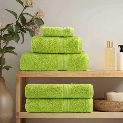 vidaXL Gästetuch SOLUND 2 Stk. Grün 15 x 21 cm 550 gsm - Grün vidaXL Gästetuch SOLUND 2 Stk. Grün 15 x 21 cm 550 gsm - Grün