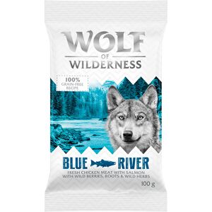 Wolf of Wilderness Adult 