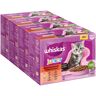 Megapack Whiskas Junior Frischebeutel 48 x 85 g - Klassische Auswahl in Sauce