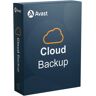 Avast Business Cloud Backup 1 Jahr 100 - 400