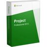 Microsoft Project 2013 Professional