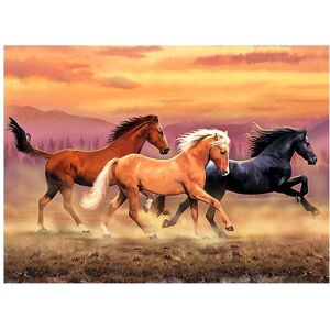 Royal Langnickel Malen nach Zahlen "Freiheit" Royal Langnickel Malen nach Zahlen "Freiheit"