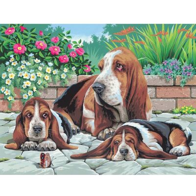 mammut Malen nach Zahlen "Bassethunde" mammut Malen nach Zahlen "Bassethunde"