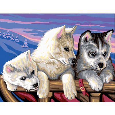 mammut Malen nach Zahlen "Huskies" mammut Malen nach Zahlen "Huskies"