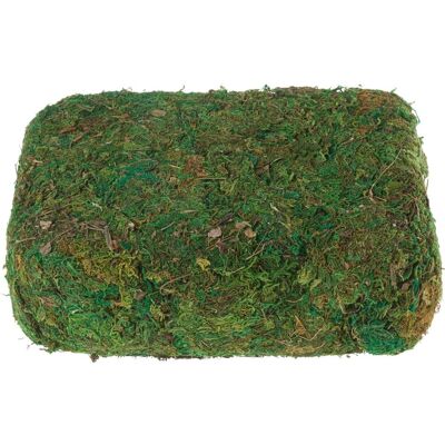 VBS XXL VBS Moos, 750 g VBS XXL VBS Moos, 750 g