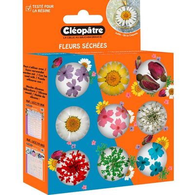 Cléopâtre Trockenblumen Sortiment, 9 Tiegel Cléopâtre Trockenblumen Sortiment, 9 Tiegel
