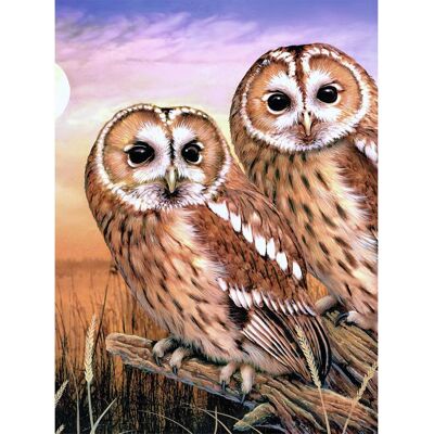 Royal Langnickel Malen nach Zahlen "Tawny Owls", 22 x 30 cm Royal Langnickel Malen nach Zahlen "Tawny Owls", 22 x 30 cm