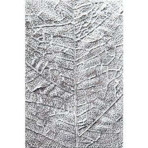 Sizzix 3D-Prägeschablone "Leaf Veins" Sizzix 3D-Prägeschablone "Leaf Veins"