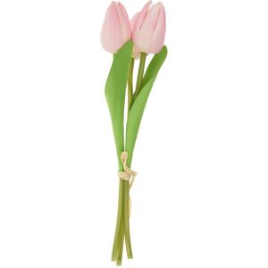 VBS Tulpe "Tammie" - Rosa VBS Tulpe "Tammie" - Rosa