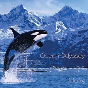 Solid Ocean Odyssey