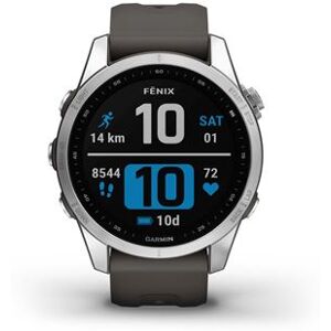 Montre connectée Garmin Fenix 7S Silver avec bracelet silicone Gris