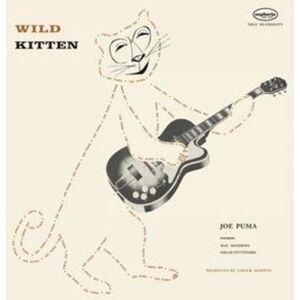 Import Wild kitten/180gr