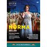 Dynamic Norma DVD