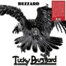 Buzzard