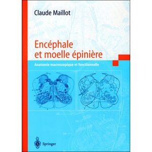 Springer Vienne Encéphale et moelle épinière -  Collectif - broché