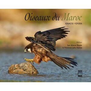 La Croisee Des Chemins Oiseaux du Maroc - Ignacio Yufera - cartonné