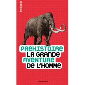 Bayard Jeunesse Préhistoire, la grande aventure de l'homme - Pierre-Marie Valat - broché