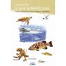 Mediterraneus Guide illustré de la faune de méditerranée - Cyril Girard - relié