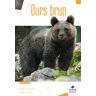 Biotope Eds L'Ours Brun - Pascal Etienne - relié