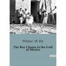 Culturea The Boy Chums in the Gulf of Mexico - Wilmer M. Ely - broché