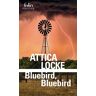 Gallimard Bluebird, Bluebird - Attica Locke - Poche