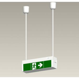 B-Safety Pendelset für Notleuchte C-LUX Standard, 50 cm