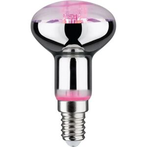 Paulmann LED-Pflanzenlampe E14 R50 4W