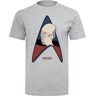 Star Trek T-Shirt - Jean-Luc Picard - Facepalm - S bis XXL - für Herren - grau meliert
