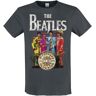 The Beatles T-Shirt - Amplified Collection - Lonely Hearts - M bis XXL - für Herren - charcoal