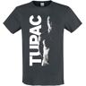 Tupac Shakur T-Shirt - Amplified Collection - Shakur - S bis XL - für Herren - charcoal