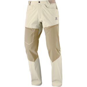 Salomon WAYFARER SECURE Wanderhose Grau 50 regular male