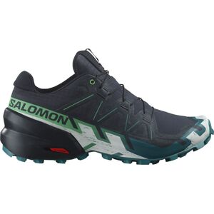 Salomon SPEEDCROSS 6 Trailrunningschuhe Grau 43 1/3 male