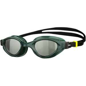 Arena Cruiser Evo Schwimmbrille Grau OneSize male