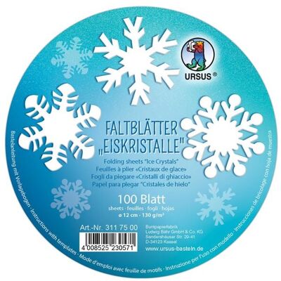 Ludwig Bähr Ursus Faltblätter - Eiskristalle Ludwig Bähr Ursus Faltblätter - Eiskristalle