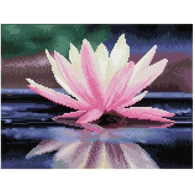 Needleart World (Hong Kong) Ltd. Diamond Dotz Seerose Needleart World (Hong Kong) Ltd. Diamond Dotz Seerose