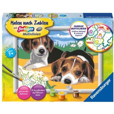 Ravensburger Verlag GmbH Ravensburger Malen nach Zahlen, Jack Russel Welpen, Malset Ravensburger Verlag GmbH Ravensburger Malen nach Zahlen, Jack Russel Welpen, Malset