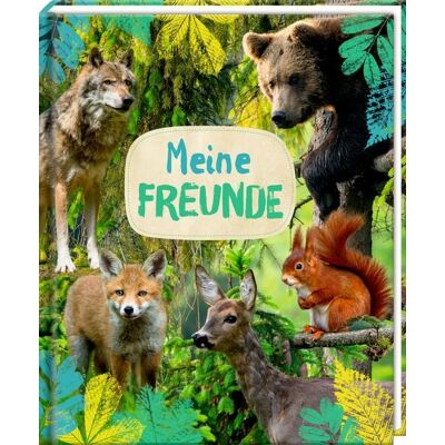 Coppenrath Freundebuch – Meine Freunde Coppenrath Freundebuch – Meine Freunde