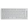 Glorious PC Gaming Race Glorious GMMK Pro TKL Gaming Keyboard Barebone - white ice [ISO-Layout]