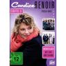 Edel Candice Renoir - Staffel 6  [3 DVDs]