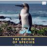 Parolita Libro The Origin of Species